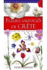 Fleurs sauvages de Crète