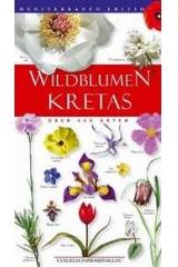 Wildblumen Kretas