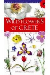 Wild Flowers of Crete