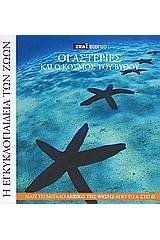 Πλήρης Οδηγός του Macromedia Flash MX 2004