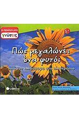 Πώς μεγαλώνει ένα φυτό;