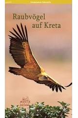 Raubvogel auf Kreta