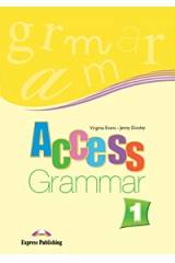 ACCESS 1 GRAMMAR INTERNATIONAL