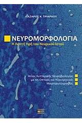 Νευρομορφολογία, Η λεπτή υφή του νευρικού ιστού