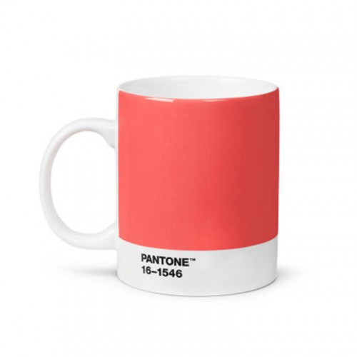 PANTONE™ - ΚΟΥΠΑ - ΚΟΡΑΛΙ 16-1546 -COLOR OF THE YEAR 2019- ΣΕ ΚΟΥΤΙ