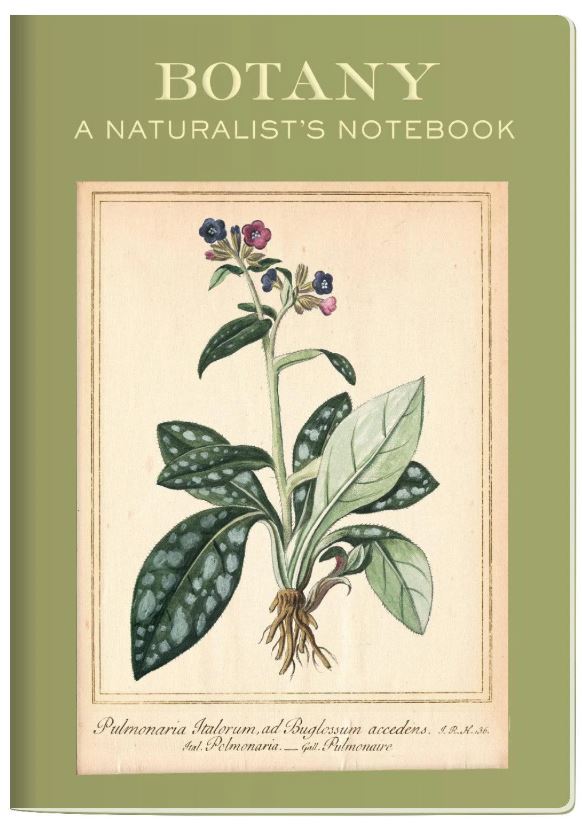ΣΗΜΕΙΩΜΑΤΑΡΙΟ: BOTANY