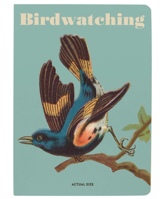 ΣΗΜΕΙΩΜΑΤΑΡΙΟ: BIRDWATCHING
