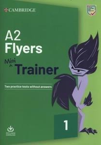 A2 FLYERS MINI TRAINER