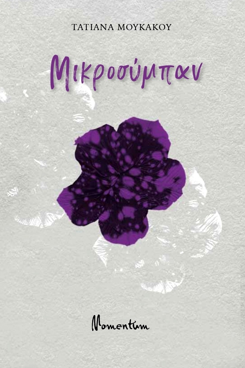Μικροσύμπαν