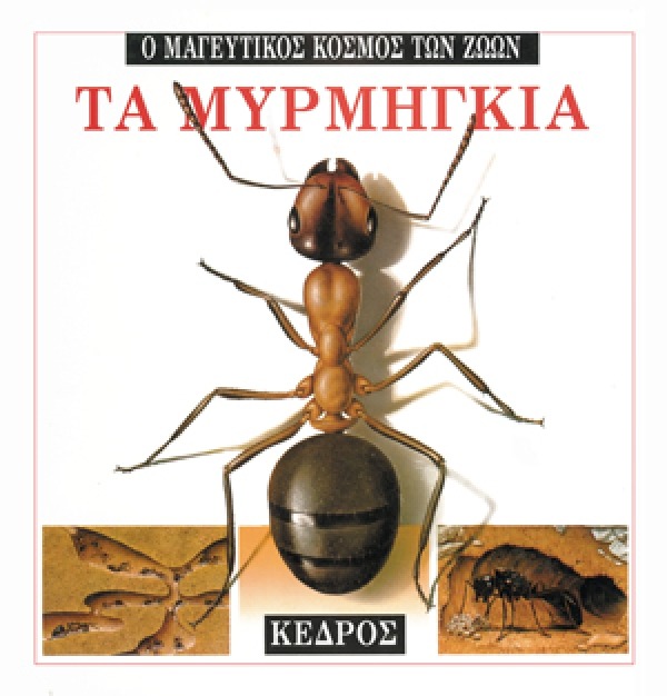 Τα μυρμήγκια