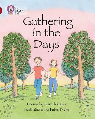 COLLINS BIG CAT : GATHERING IN THE DAYS (BAND 14) PB