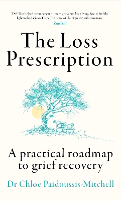 THE LOSS PRESCRIPTION : A PRACTICAL ROADMAP TO GRIEF RECOVERY PB