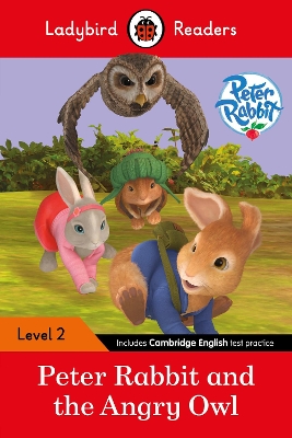 LADYBIRD READERS LEVEL 2 - PETER RABBIT - PETER RABBIT AND THE ANGRY OWL (ELT GRADED READER)
