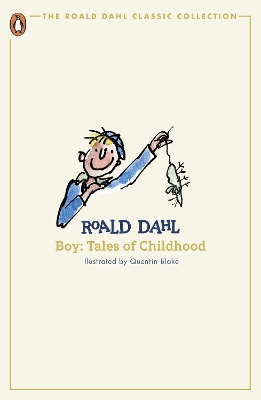 BOY : TALES OF CHILDHOOD PB