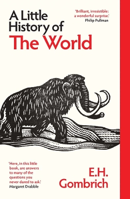 A LITTLE HISTORY OF THE WORLD PB
