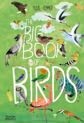 THE BIG BOOK OF BIRDS HC