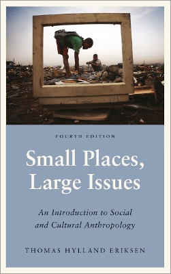 SMALL PLACES, LARGE ISSUES PB