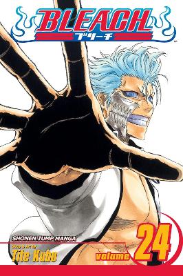 BLEACH 24  PA