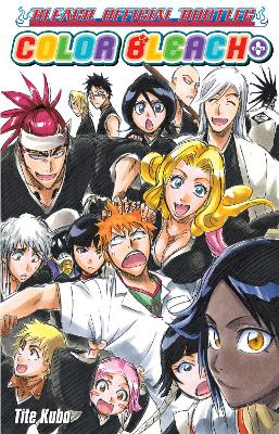 BLEACH: COLOR BLEACH PA