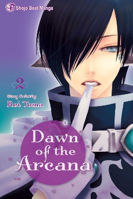 DAWN OF THE ARCANA, VOL. 02 PA