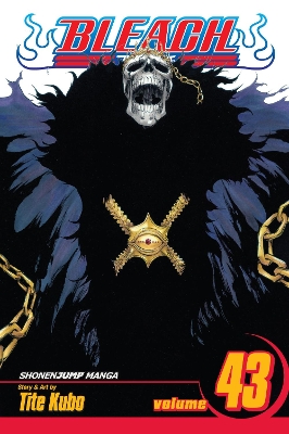 BLEACH 43  PA