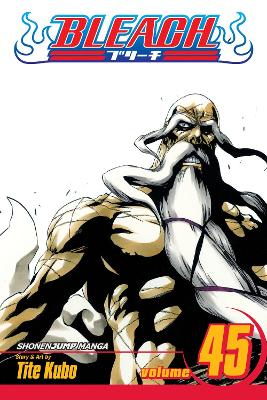BLEACH 45  PA