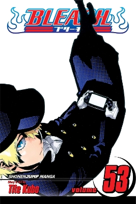 BLEACH 53  PA