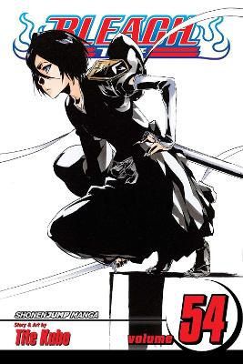 BLEACH 54  PA
