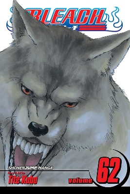 BLEACH 62  PA