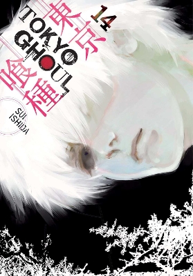 TOKYO GHOUL, VOL. 14 PA
