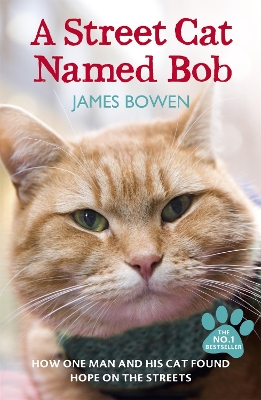 A STREET CAT NAMED BOB PB A FORMAT