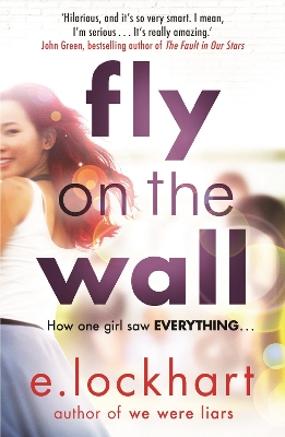 FLY ON THE WALL