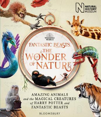FANTASTIC BEASTS: THE WONDER OF NATURE: AMAZING ANIMALS AND THE MAGICAL CREATURES OF HARRY POTTER AN PB