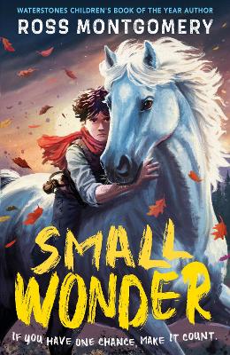 SMALL WONDER PB