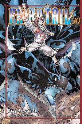 FAIRY TAIL GN VOL 30 (C: 1-1-1)