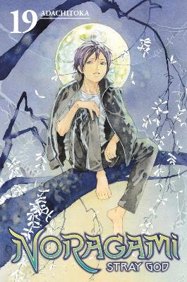 NORAGAMI STRAY GOD GN VOL 19 (C: 1-1-0)