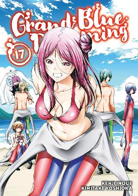 GRAND BLUE DREAMING GN VOL 17 PB