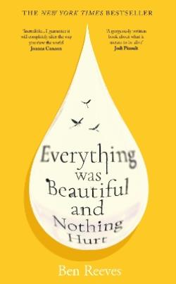 EVERYTHING WAS BEAUTIFUL AND NOTHING HURT TPB
