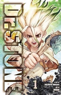 DR. STONE, VOL. 01 PA