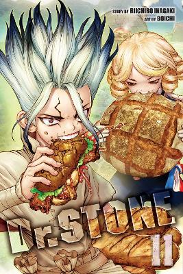 DR. STONE, VOL. 11 PA