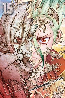 DR. STONE, VOL. 15 PA