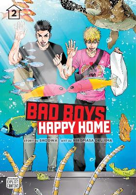 BAD BOYS, HAPPY HOME, VOL. 2PA