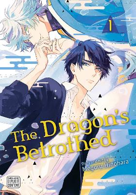 DRAGONS BETROTHED, VOL. 1 PA