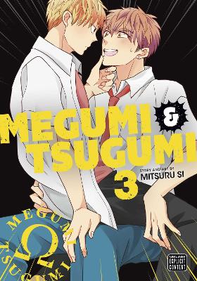 MEGUMI   TSUGUMI, VOL. 3 PA