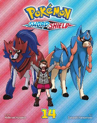 POKEMON: SWORD &amp; SHIELD V14 PA