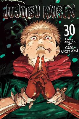 JUJUTSU KAISEN, VOL. 30 PA