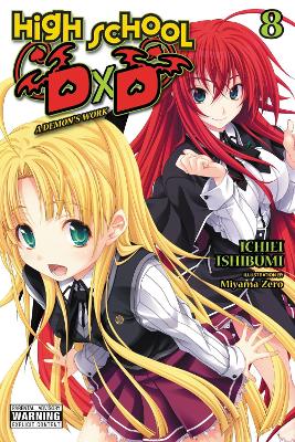 HIGH SCHOOL DXD, VOL. 8 (LIGHT NOVEL)