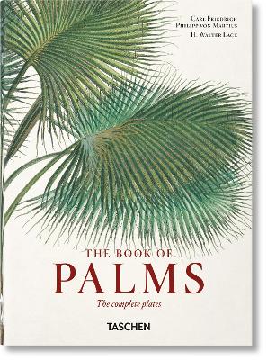 TASCHEN 45TH EDITION : MARTIUS. THE BOOK OF PALMS. 40TH ED. HC