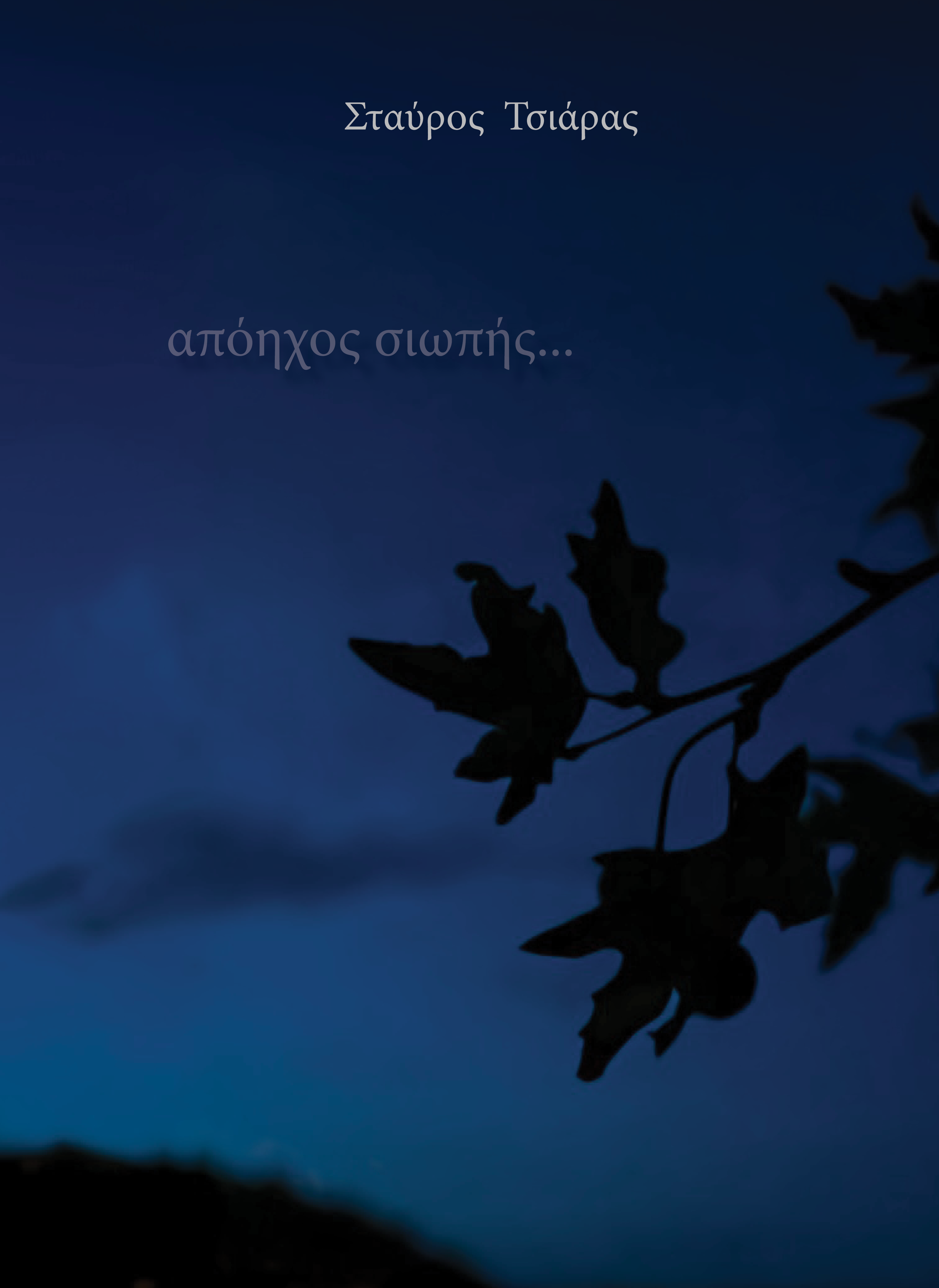 Απόηχος σιωπής...