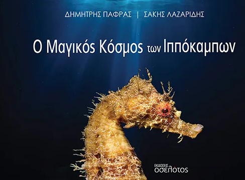 Ο μαγικός κόσμος των ιππόκαμπων